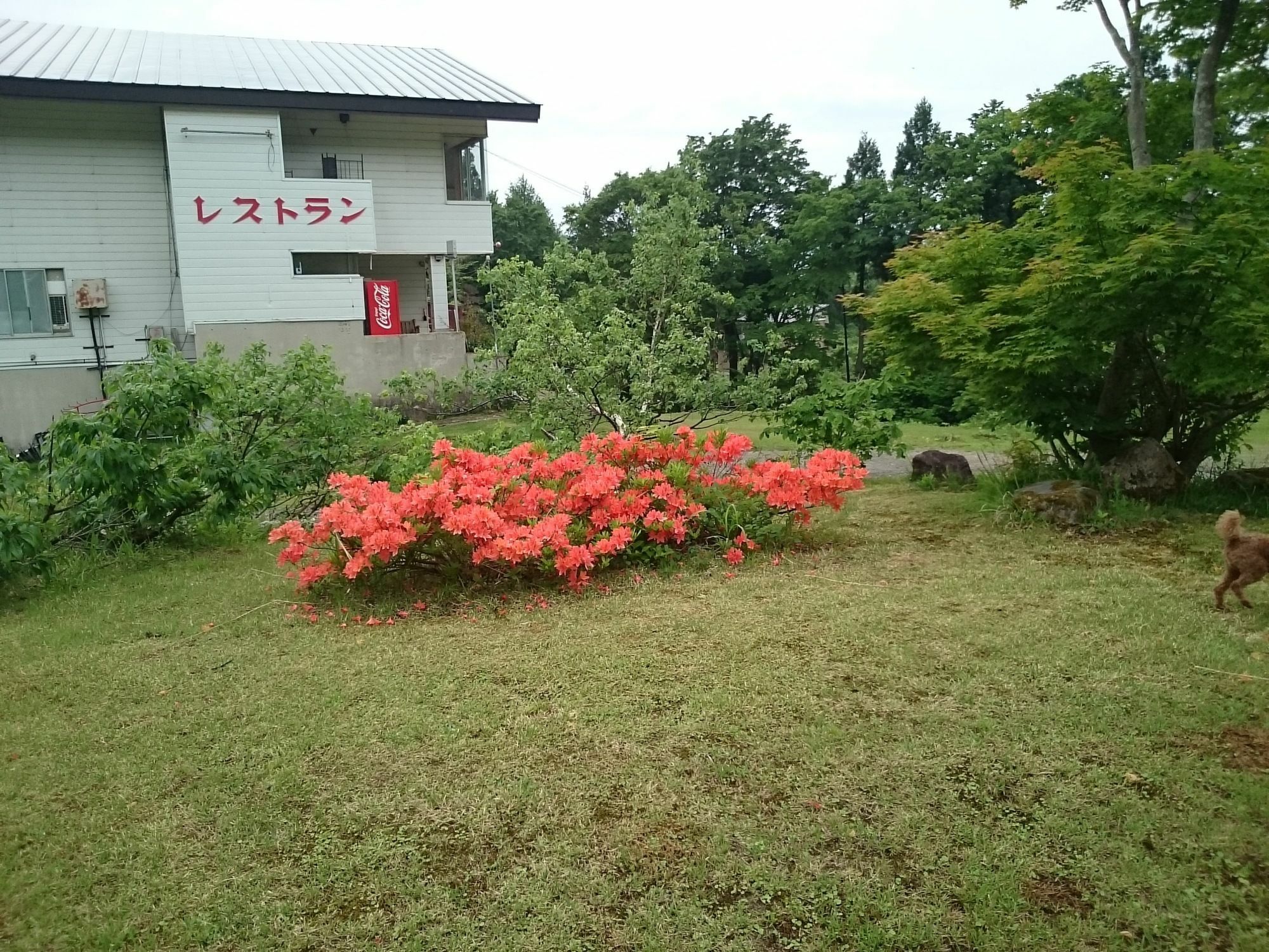 Hotel Edelweiss Akakura Myōkō Exterior foto